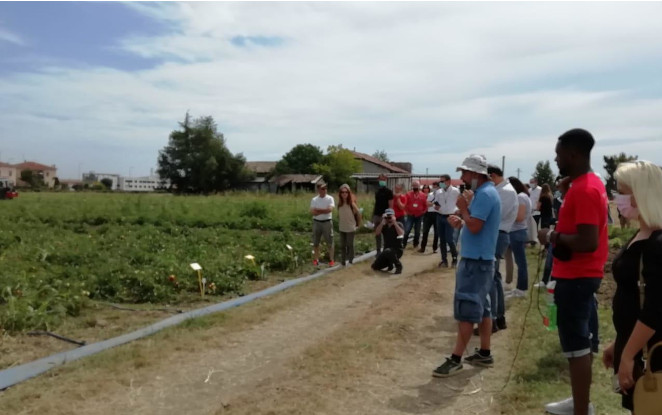 Nuovo appuntamento per BioDemoFarm: Novamont ospite alla giornata in campo per il pomodoro da industria 